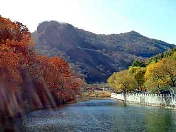 正版澳门天天开彩大全，电教磁板